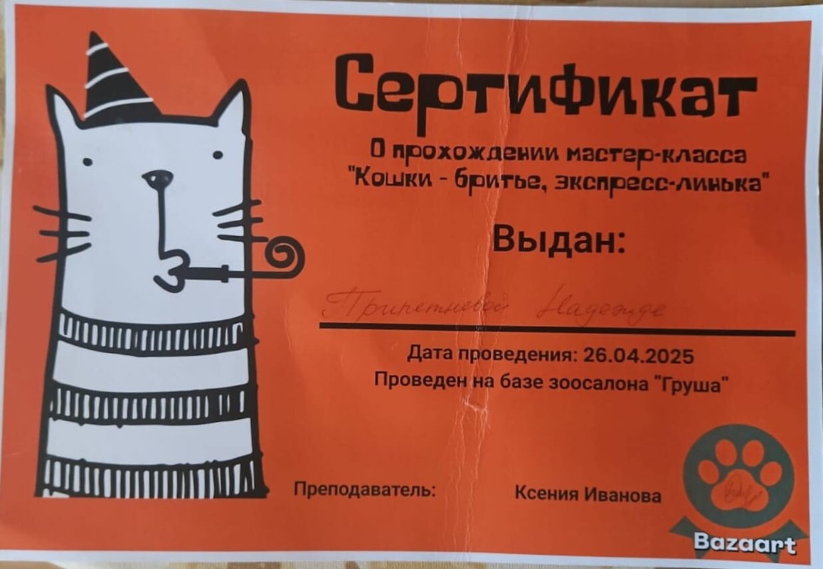 Документ или сертификат