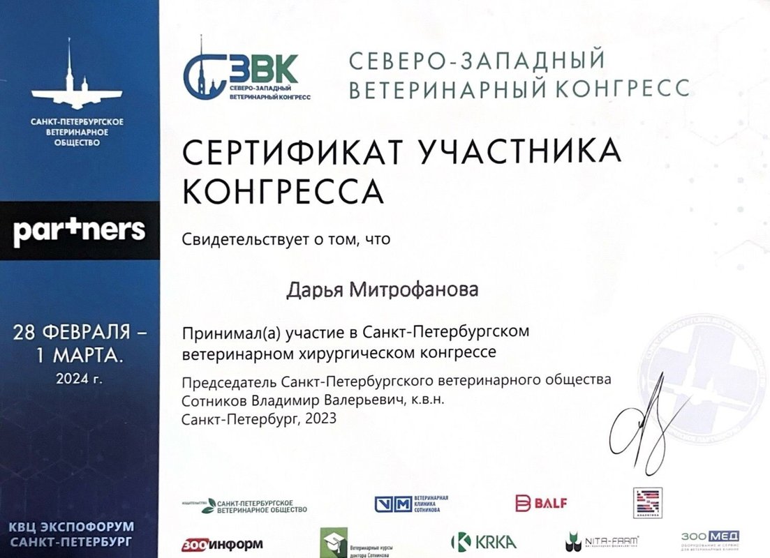 Документ или сертификат