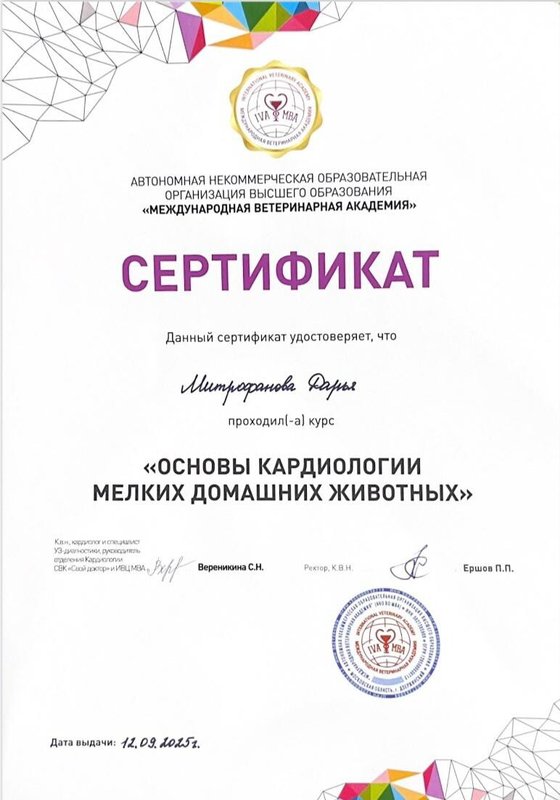 Документ или сертификат