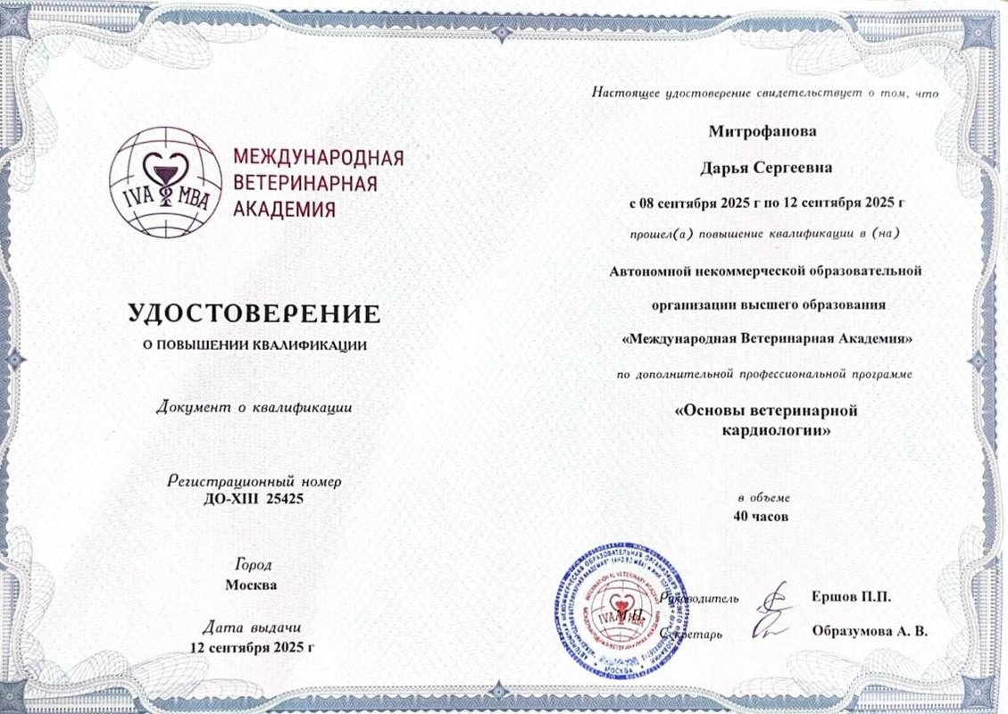 Документ или сертификат