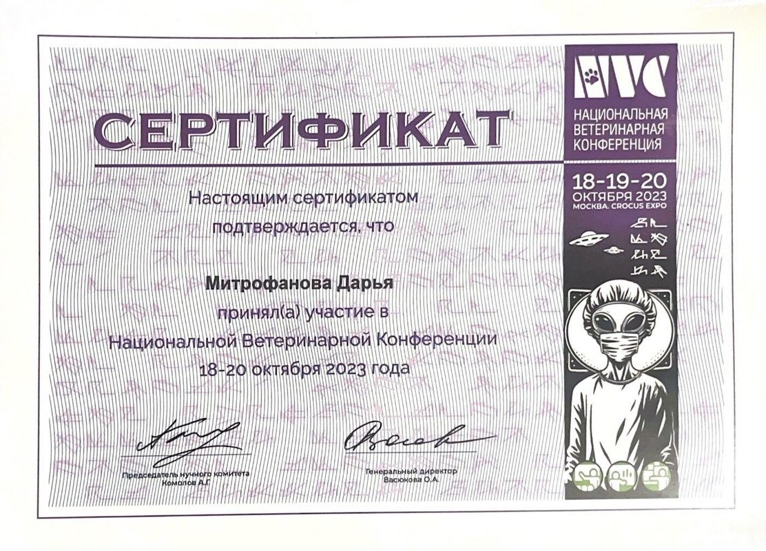 Документ или сертификат