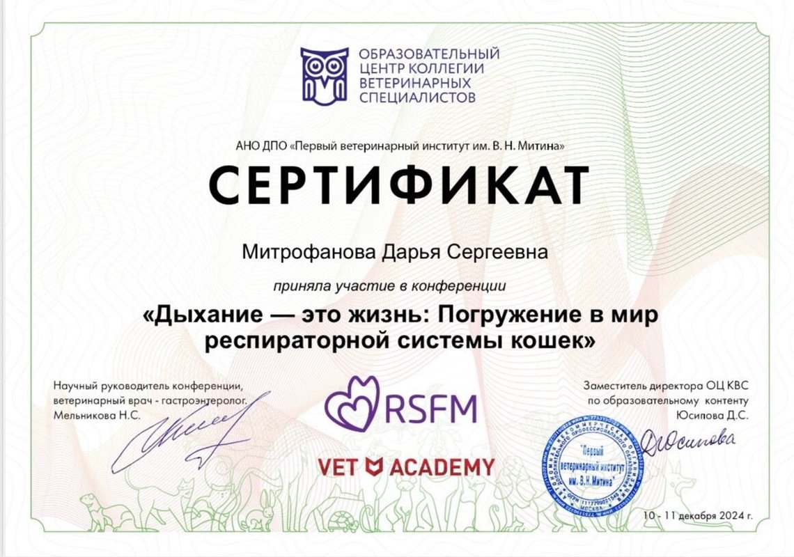 Документ или сертификат