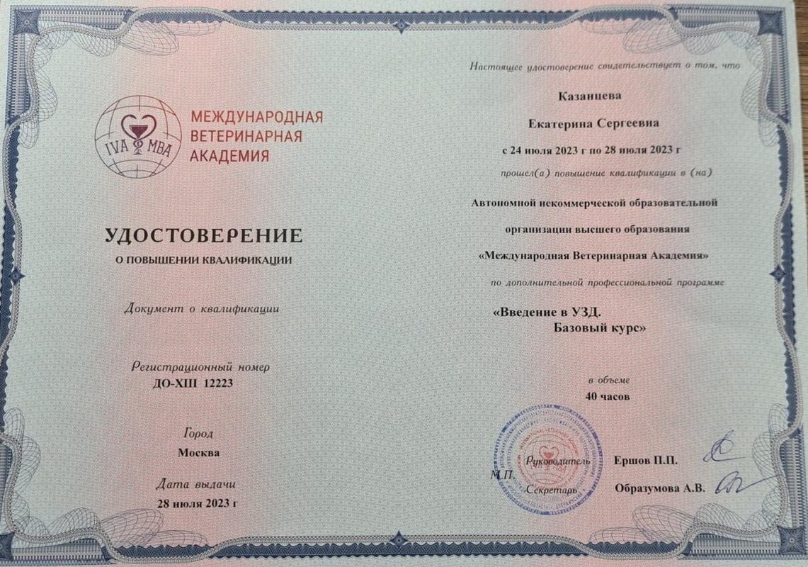 Документ или сертификат