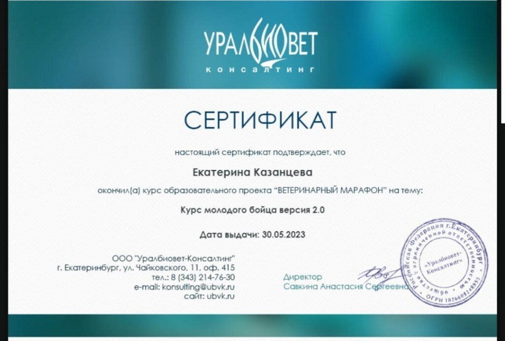 Документ или сертификат
