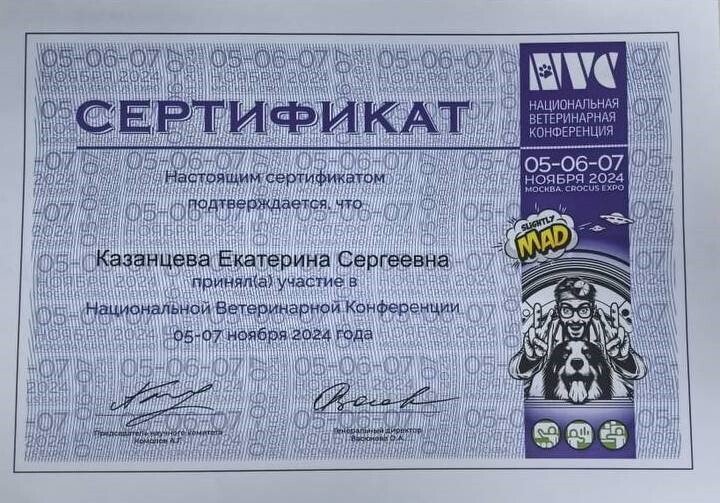 Документ или сертификат