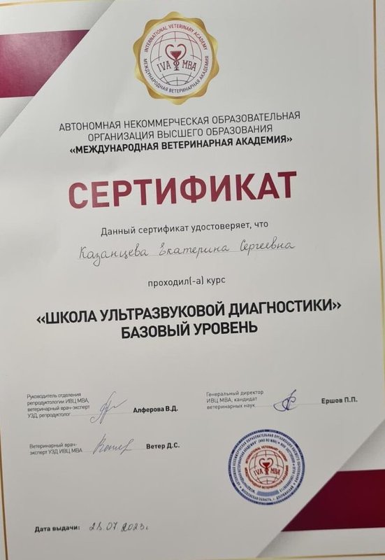 Документ или сертификат