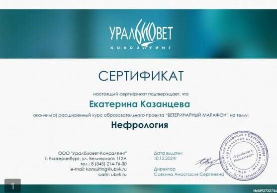 Документ или сертификат