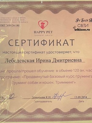Фото врача Лебедевская Ирина Дмитриевна
