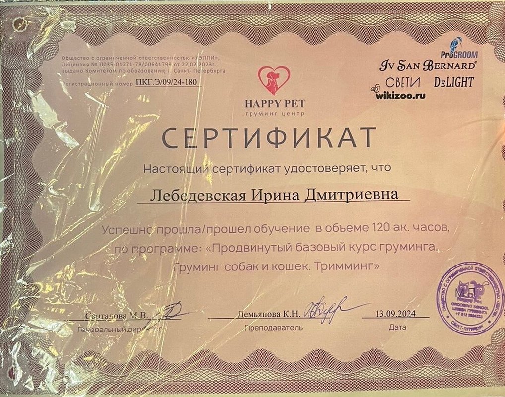 Документ или сертификат