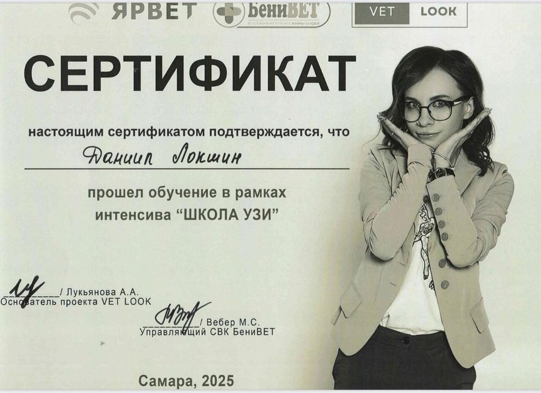 Документ или сертификат