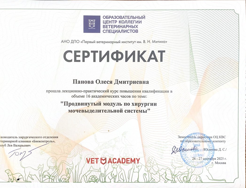 Документ или сертификат