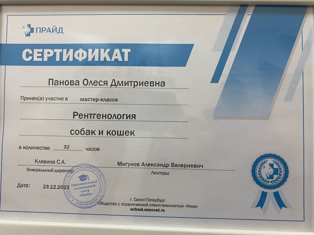 Документ или сертификат