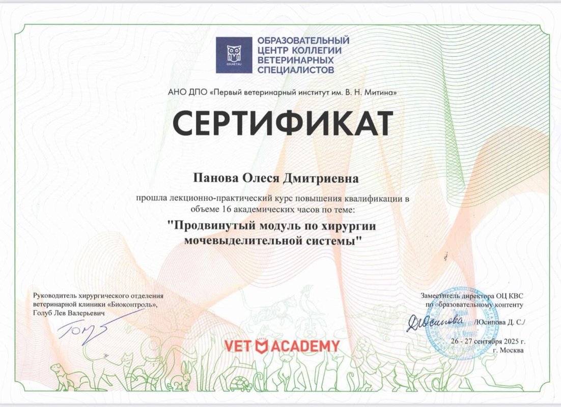 Документ или сертификат