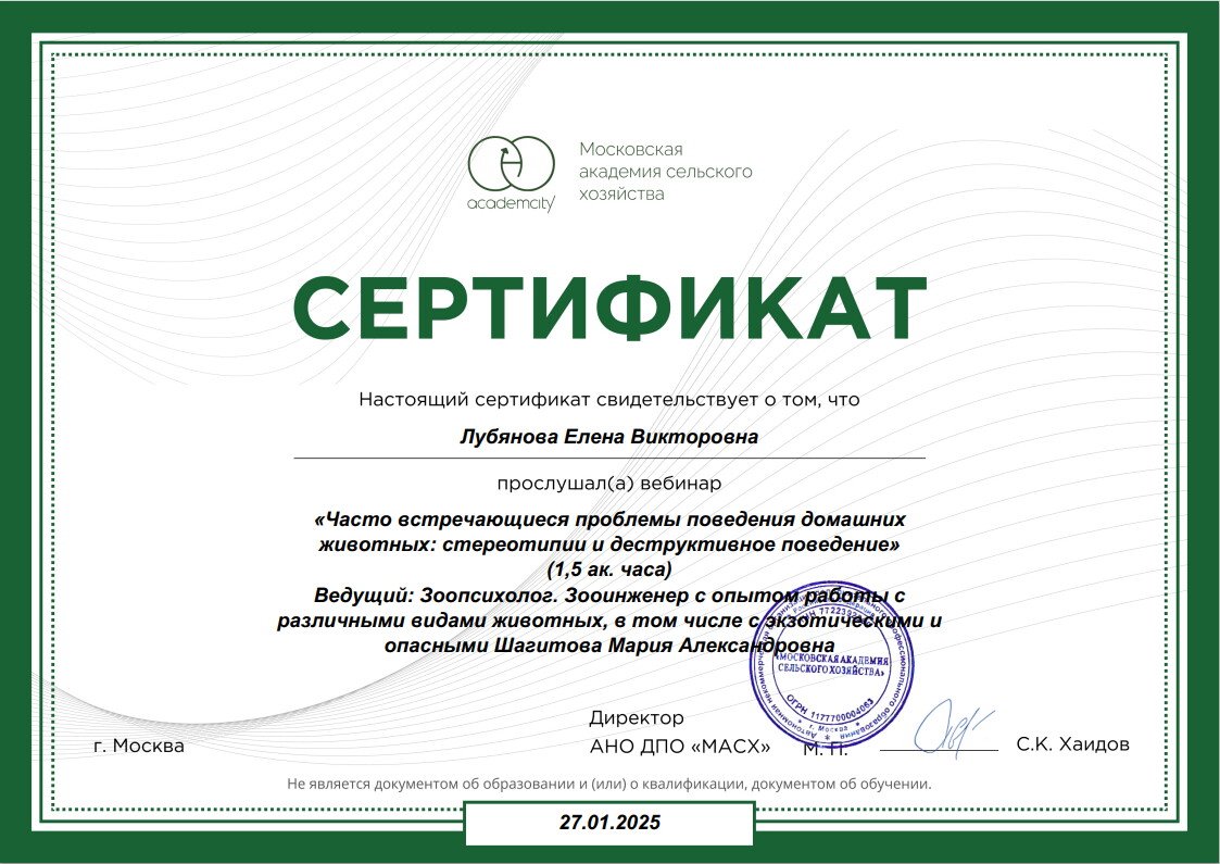 Документ или сертификат