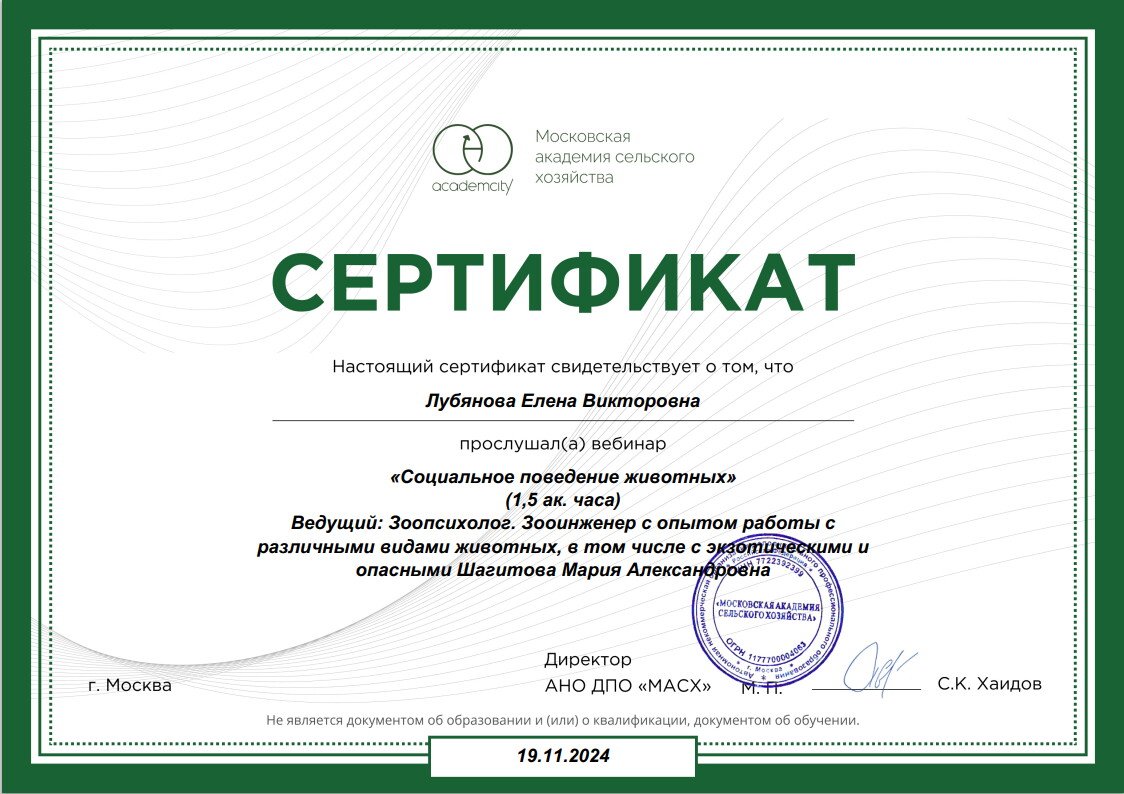 Документ или сертификат