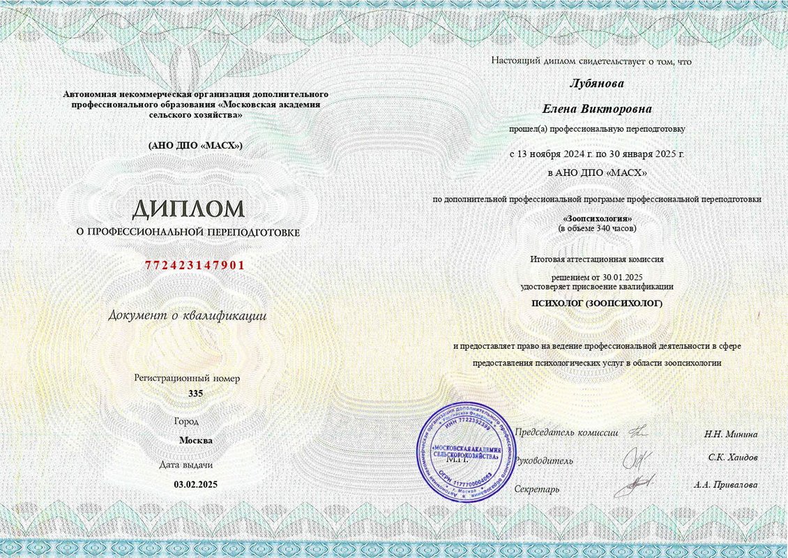 Документ или сертификат