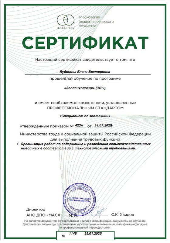 Документ или сертификат