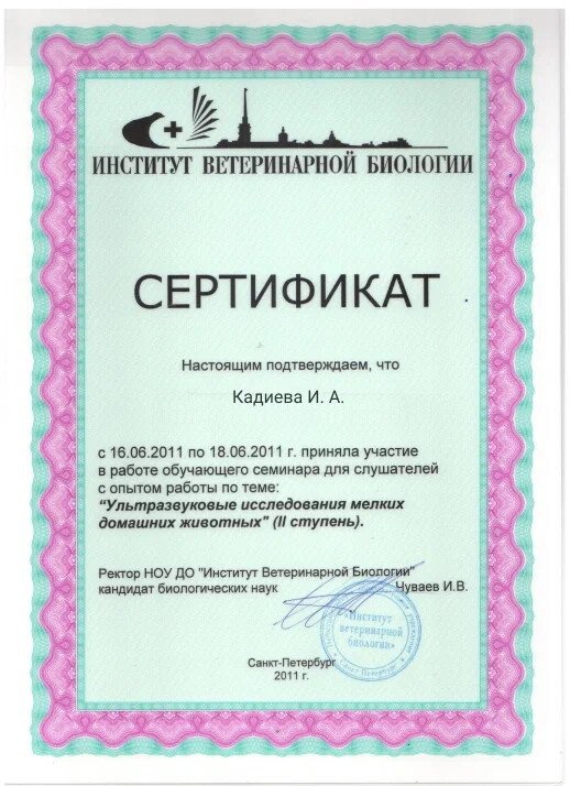 Документ или сертификат