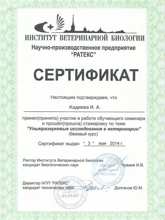 Документ или сертификат