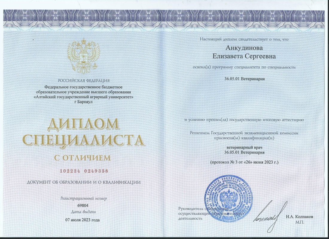Документ или сертификат