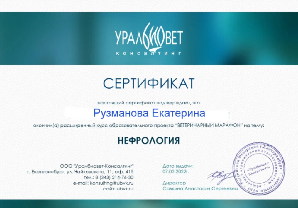 Документ или сертификат