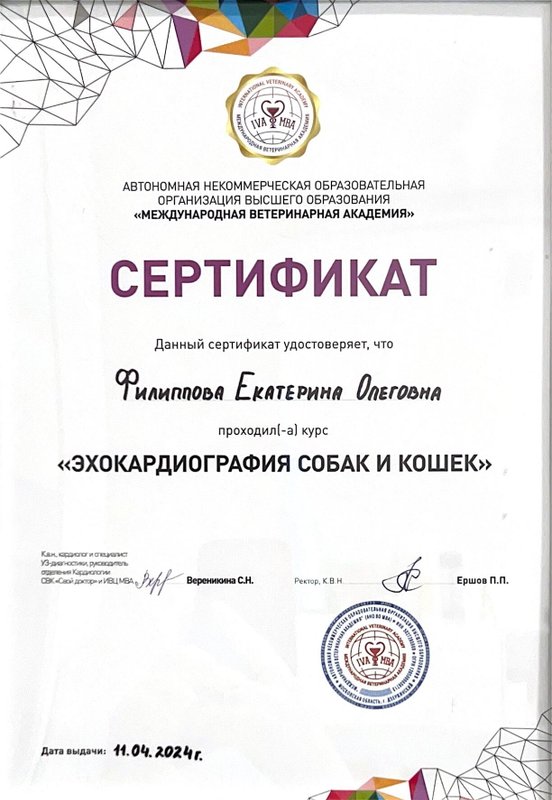 Документ или сертификат