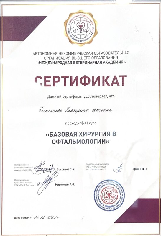 Документ или сертификат