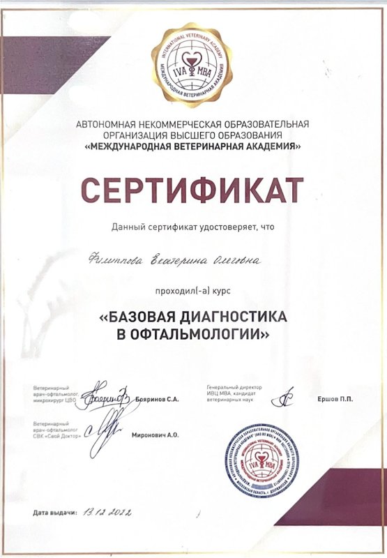 Документ или сертификат