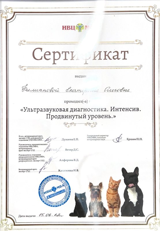 Документ или сертификат