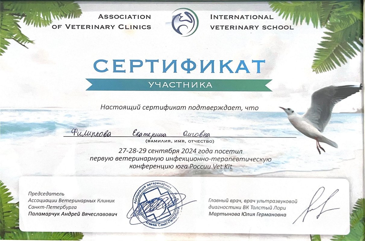Документ или сертификат