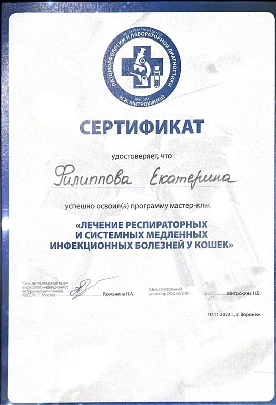 Документ или сертификат