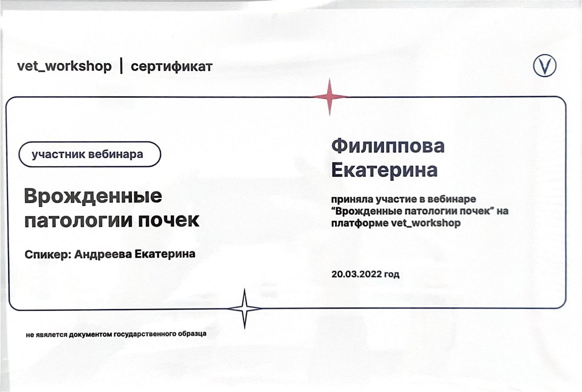 Документ или сертификат