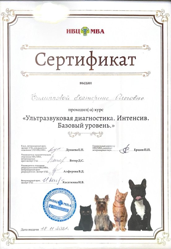 Документ или сертификат