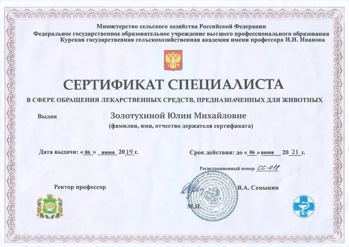 Документ или сертификат