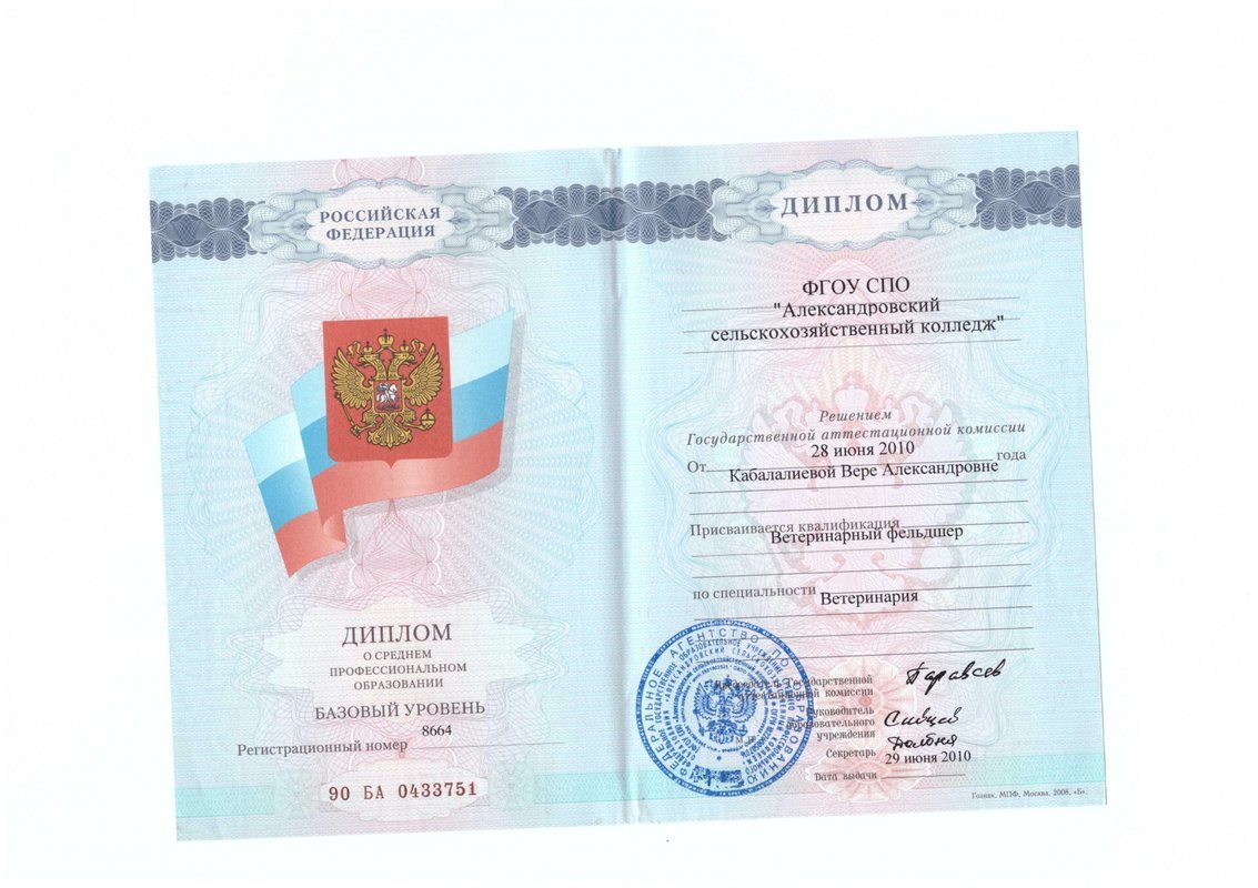 Документ или сертификат