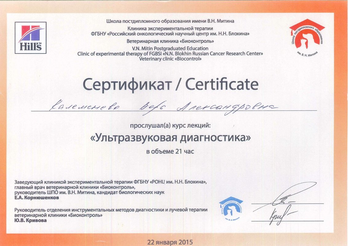 Документ или сертификат