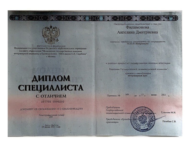 Документ или сертификат