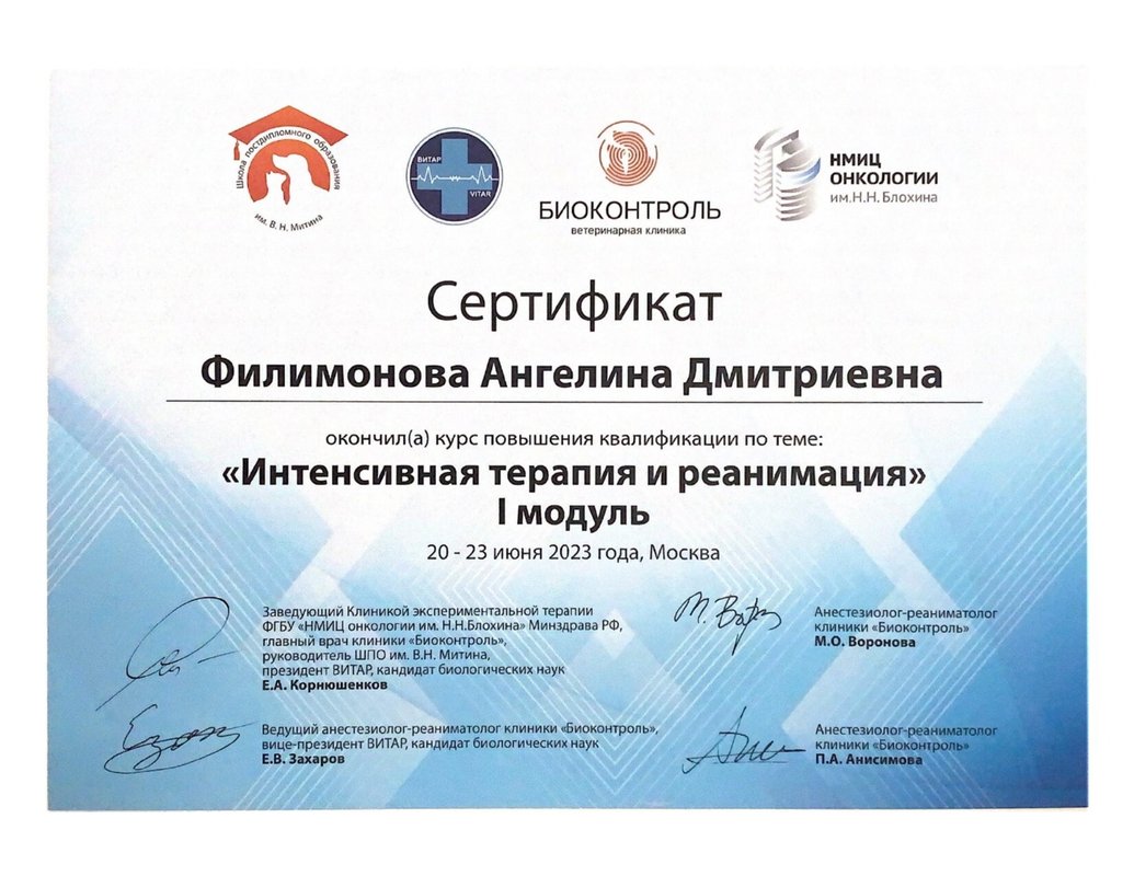 Документ или сертификат