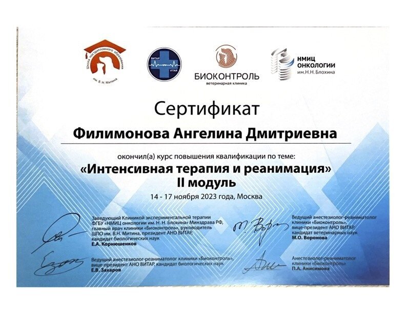 Документ или сертификат