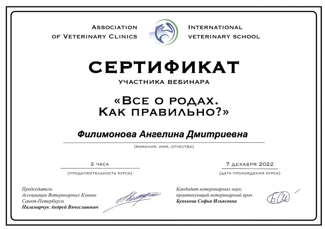 Документ или сертификат