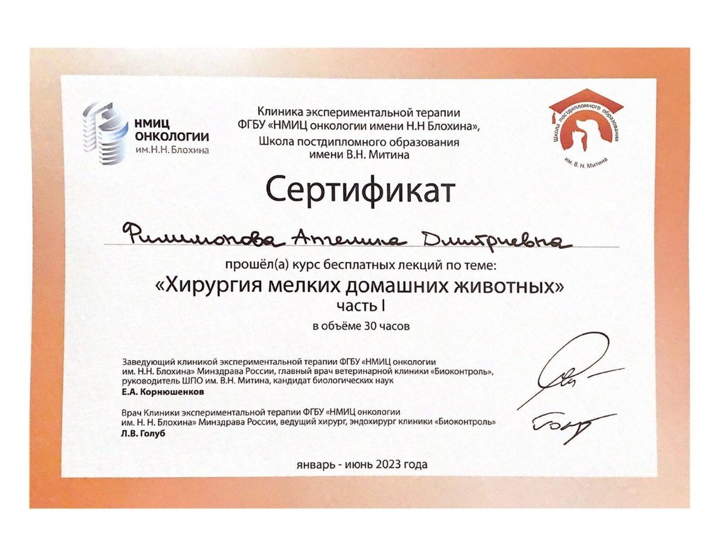 Документ или сертификат