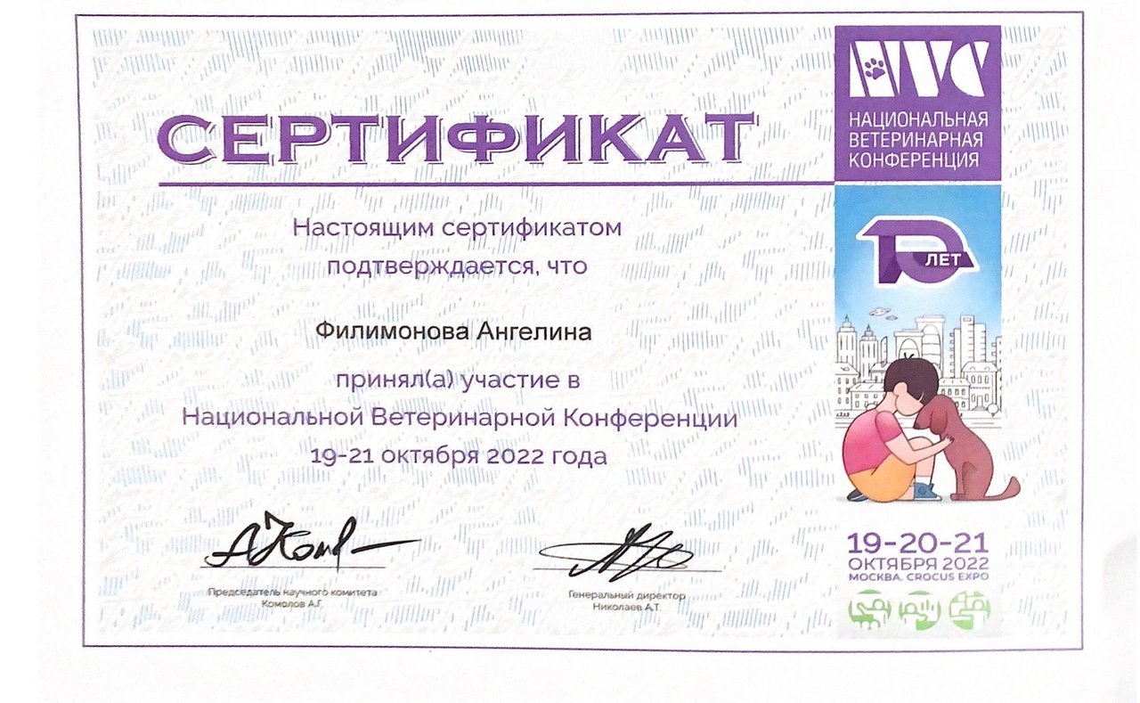 Документ или сертификат