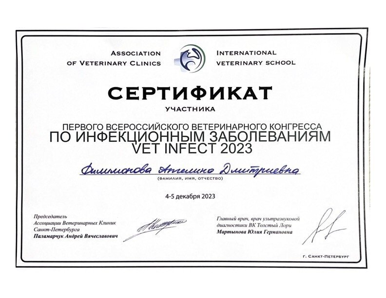 Документ или сертификат