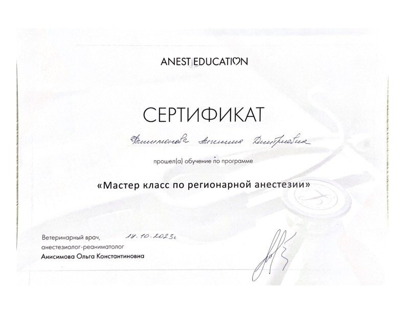 Документ или сертификат