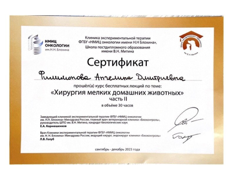 Документ или сертификат