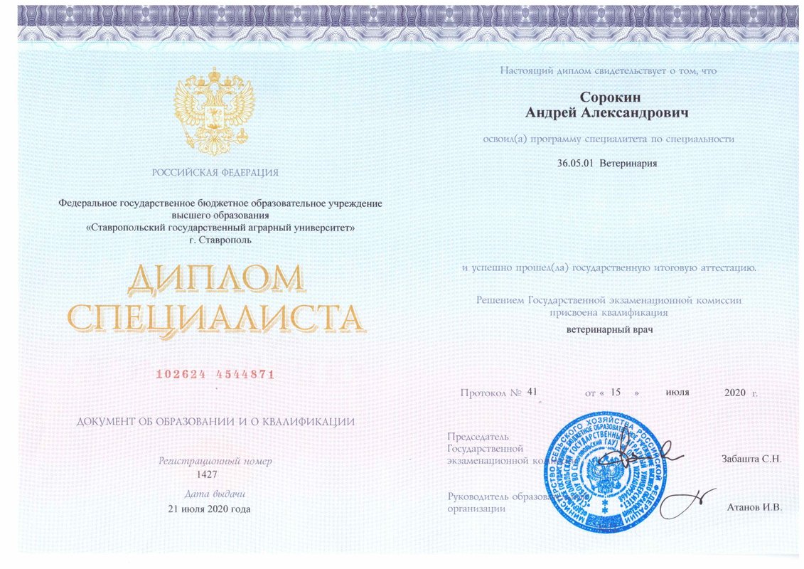 Документ или сертификат