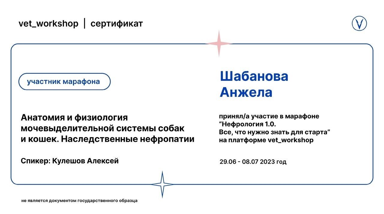 Документ или сертификат