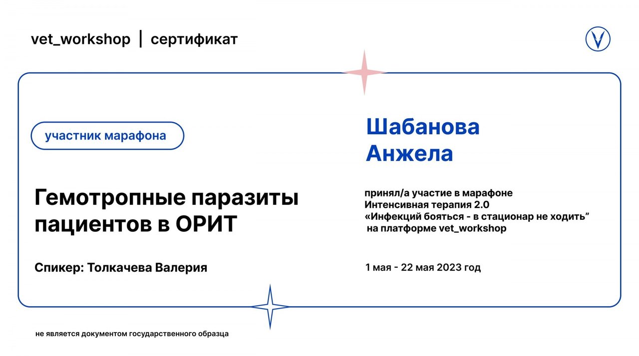 Документ или сертификат