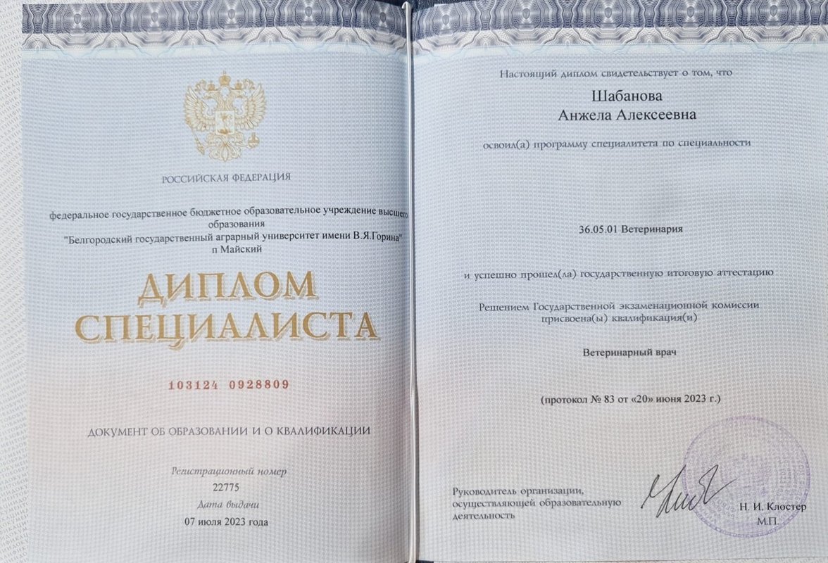 Документ или сертификат