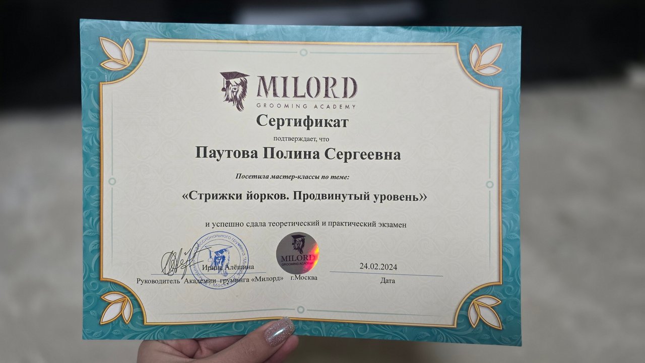 Документ или сертификат